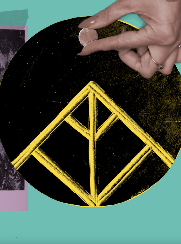 Teaserbild von Projekt Grüne Blätter, braune Wurzeln|Naturschutz und Rechtsradikalismus