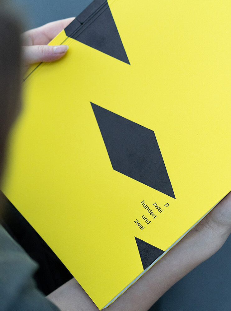 P202|Vor Gebrauch alle Sicherheitshinweise lesen und verstehen P202|Vor Gebrauch alle Sicherheitshinweise lesen und verstehen