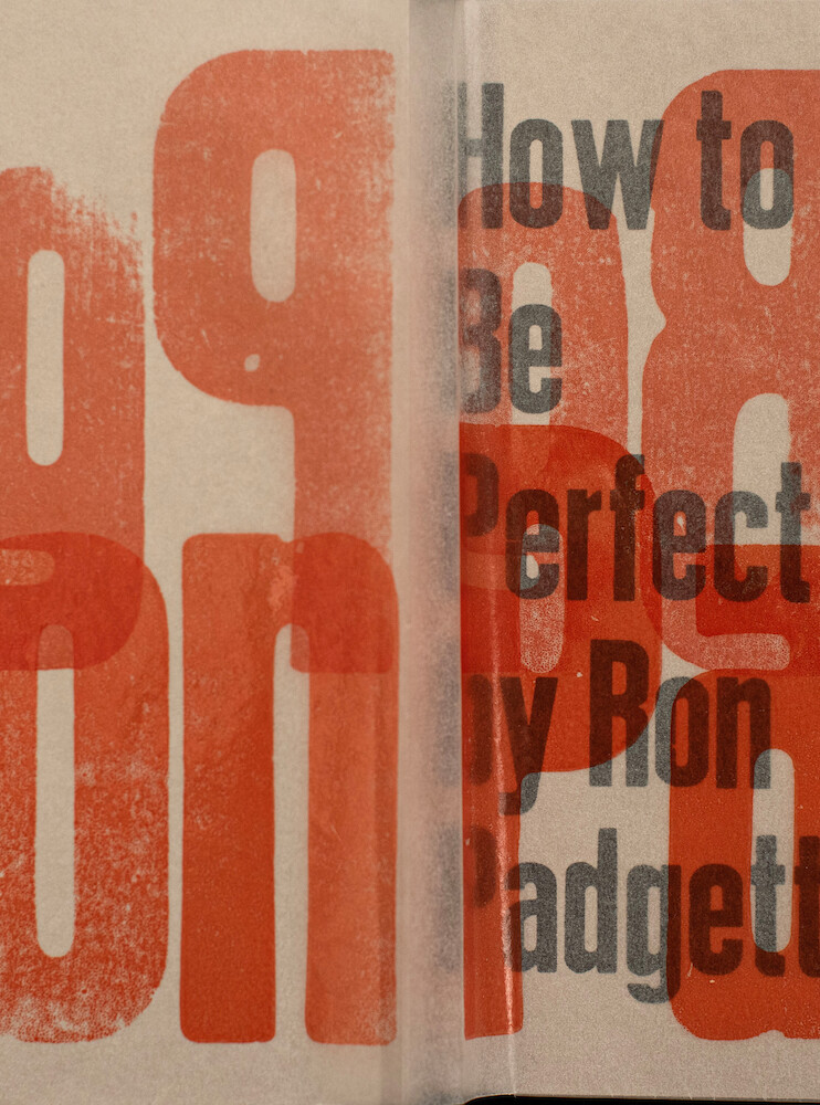 How to Be Perfect How to Be Perfect