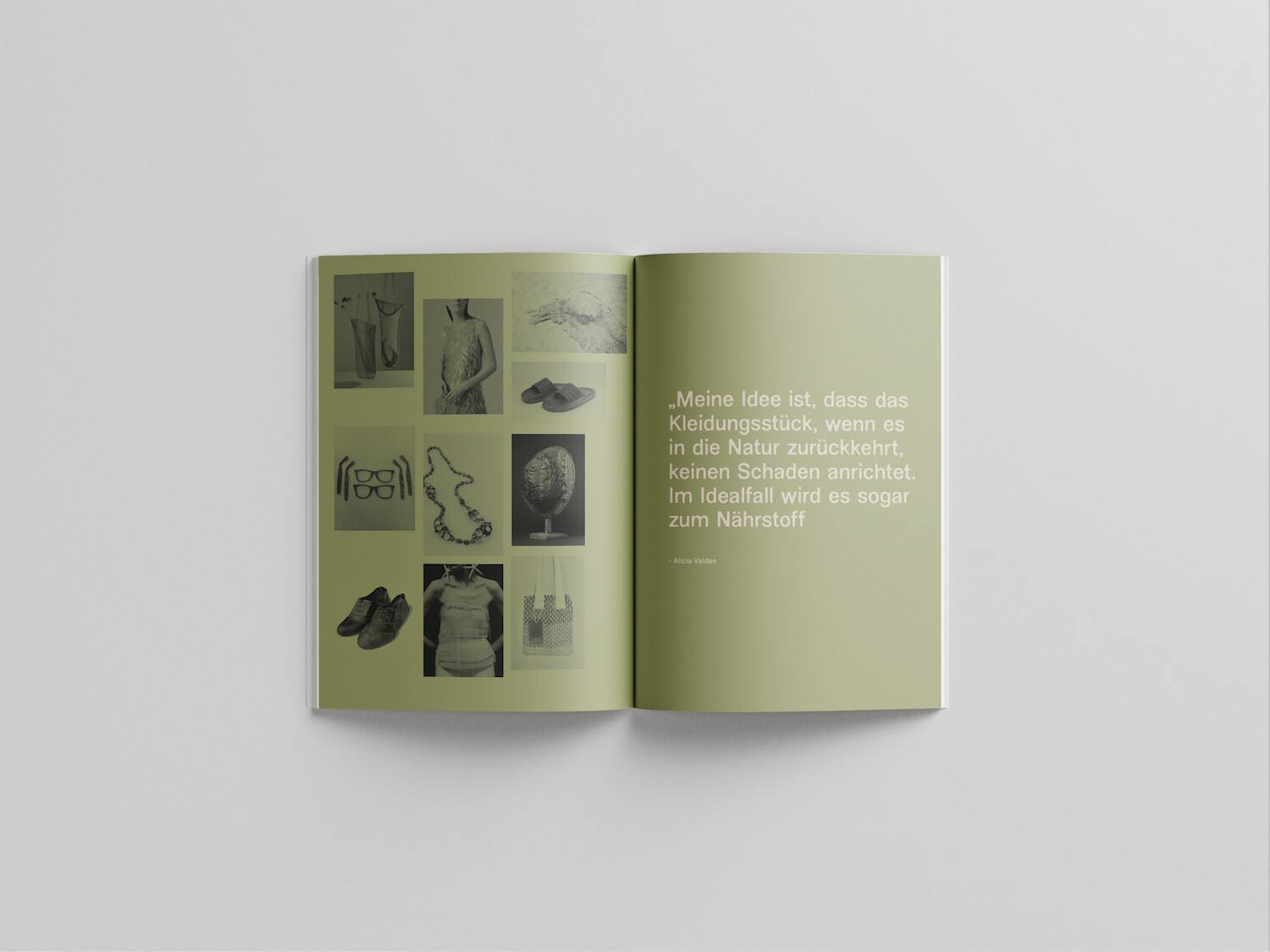 Bildname: kd-algae-9vwyha