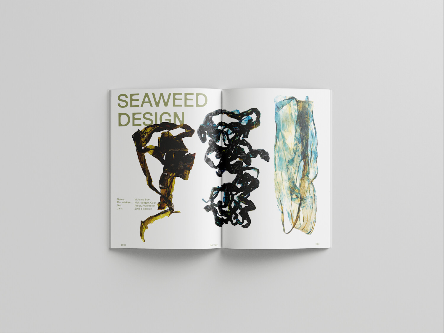 Bildname: kd-algae-iyjb6j