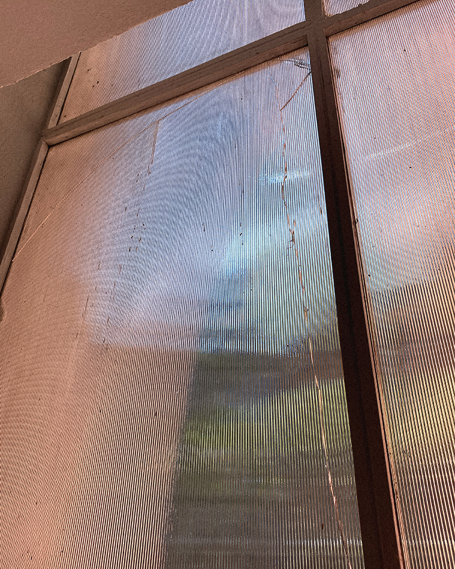 Bildname: kd-rosa-wqxjij