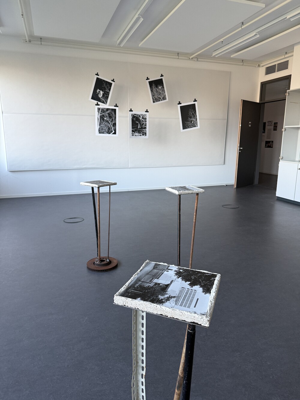 Bildname: kd-rundgang_2025-vsnewa